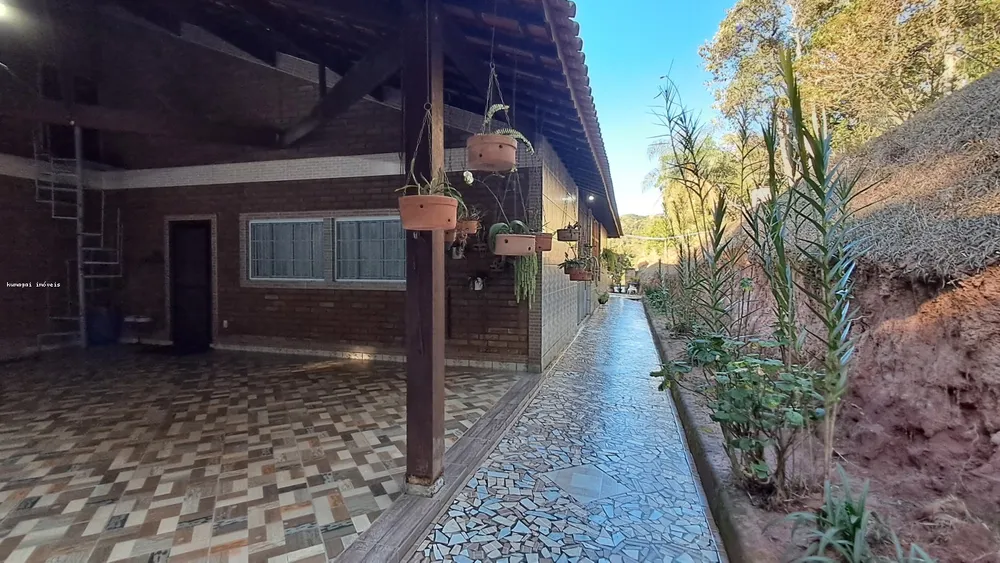Chácara, 5 quartos, 2 hectares - Foto 3