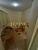 Apartamento, 1 quarto, 40 m² - Foto 3