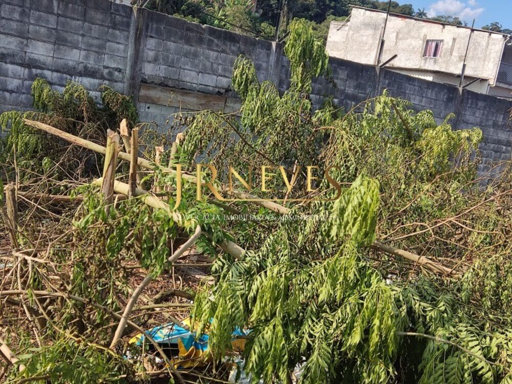 Terreno, 1 hectares - Foto 8