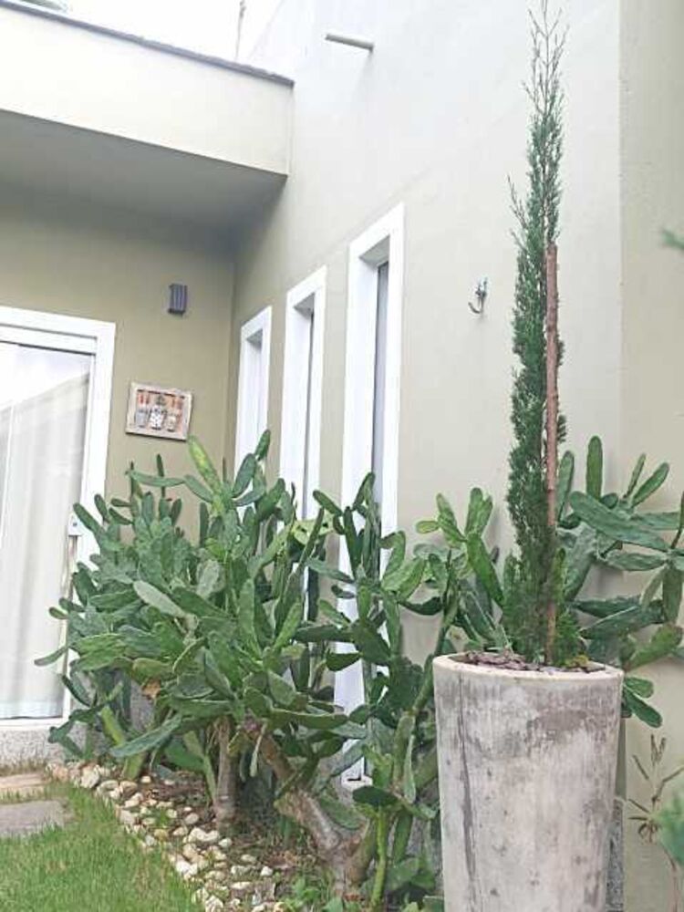 Casa, 4 quartos, 200 m² - Foto 4