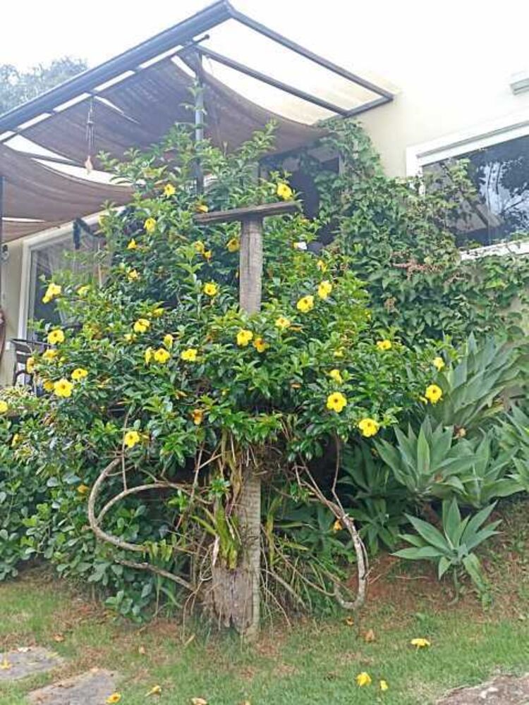 Casa, 4 quartos, 200 m² - Foto 3