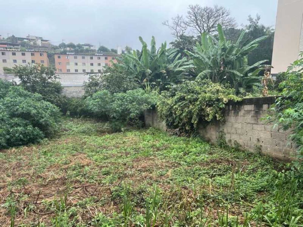 Terreno, 402 m² - Foto 19