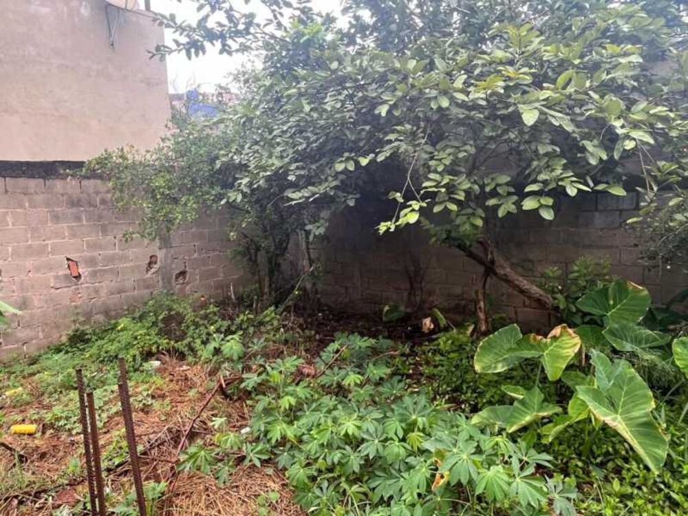 Terreno, 402 m² - Foto 9