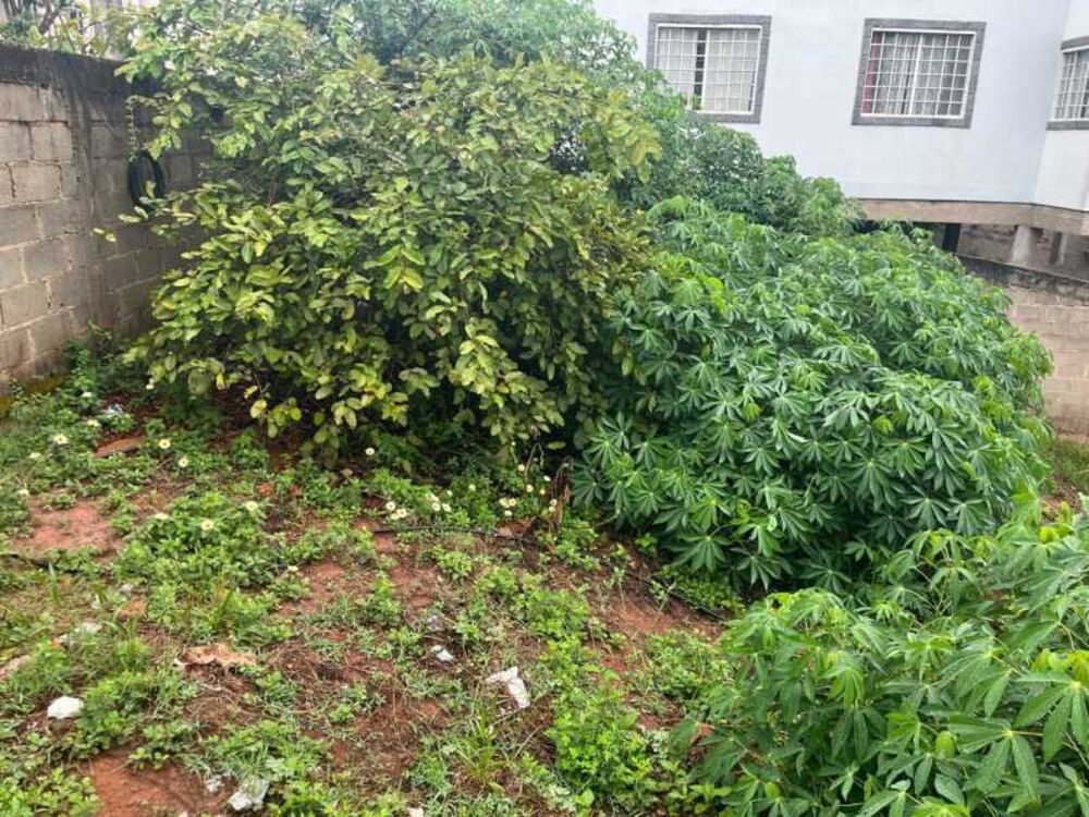 Terreno, 402 m² - Foto 18