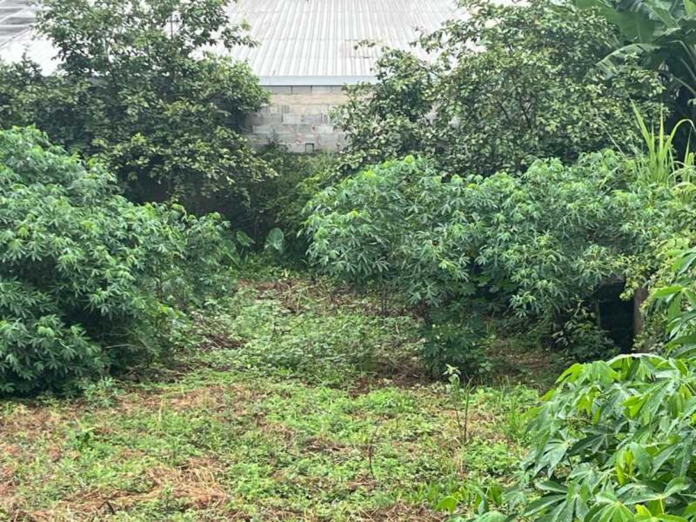 Terreno, 402 m² - Foto 8