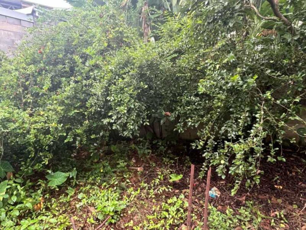 Terreno, 402 m² - Foto 16