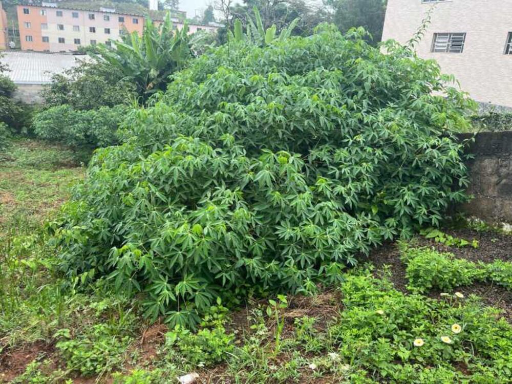 Terreno, 402 m² - Foto 2