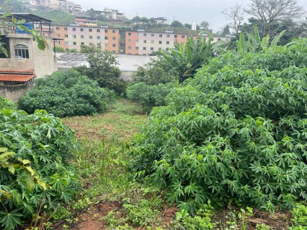 Terreno, 402 m² - Foto 20