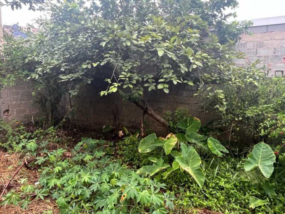 Terreno, 402 m² - Foto 17