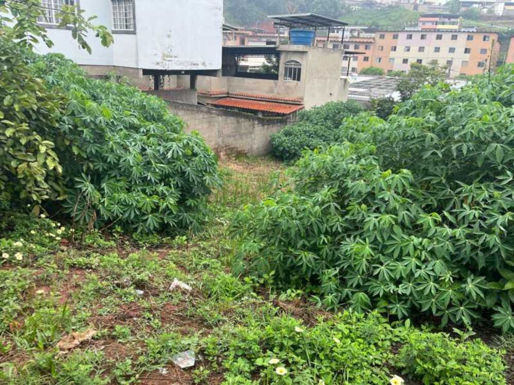 Terreno, 402 m² - Foto 6