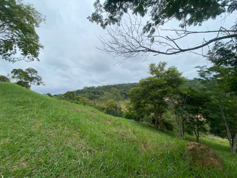 Terreno à venda, 360 - Foto 8