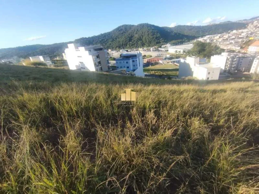 Terreno, 548 m² - Foto 2