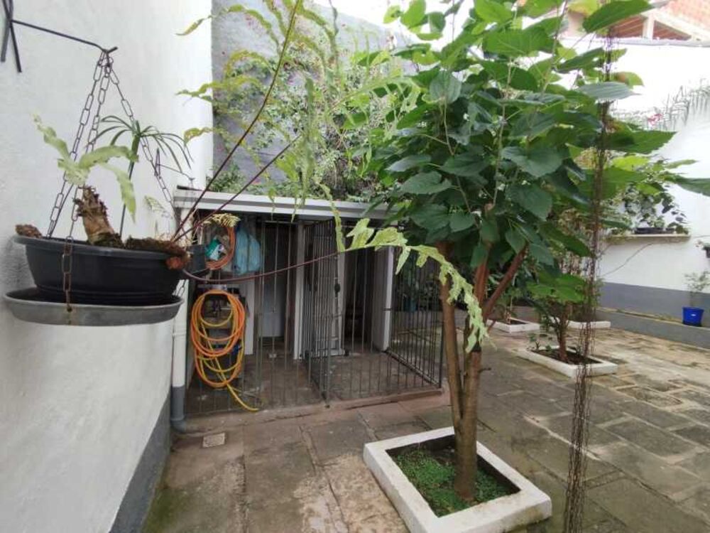 Casa, 4 quartos, 440 m² - Foto 19