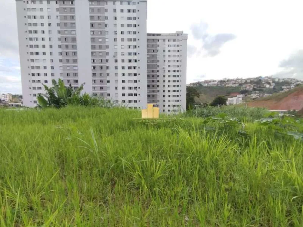 Terreno, 312 m² - Foto 6