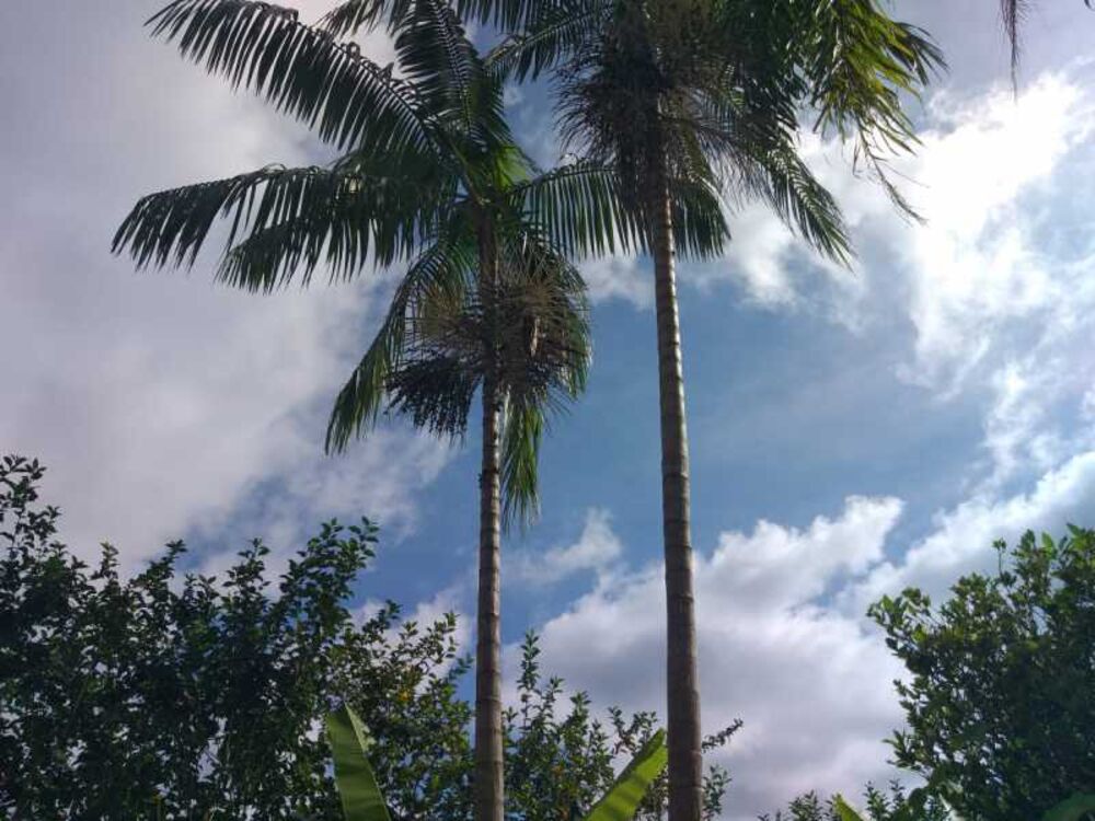 Casa de Condomínio, 3 quartos - Foto 13