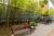 Sala-Conjunto, 248 m² - Foto 3