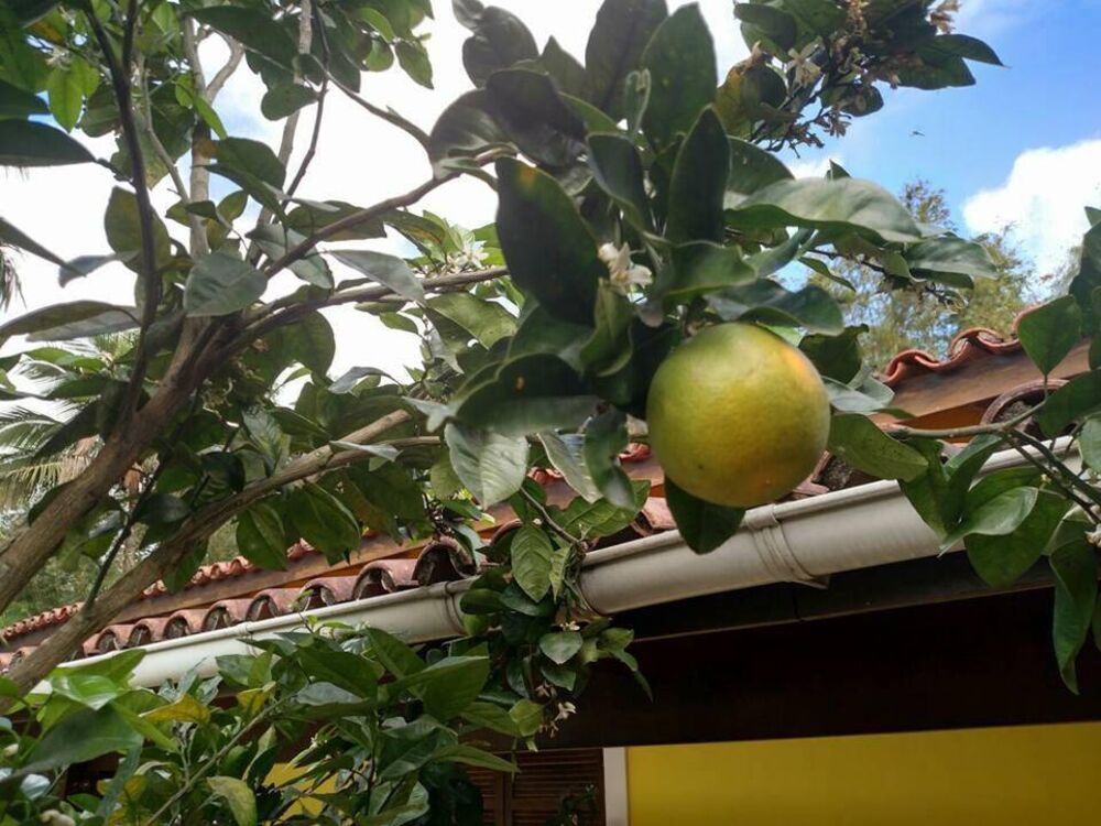 Casa, 6 quartos, 700 m² - Foto 4