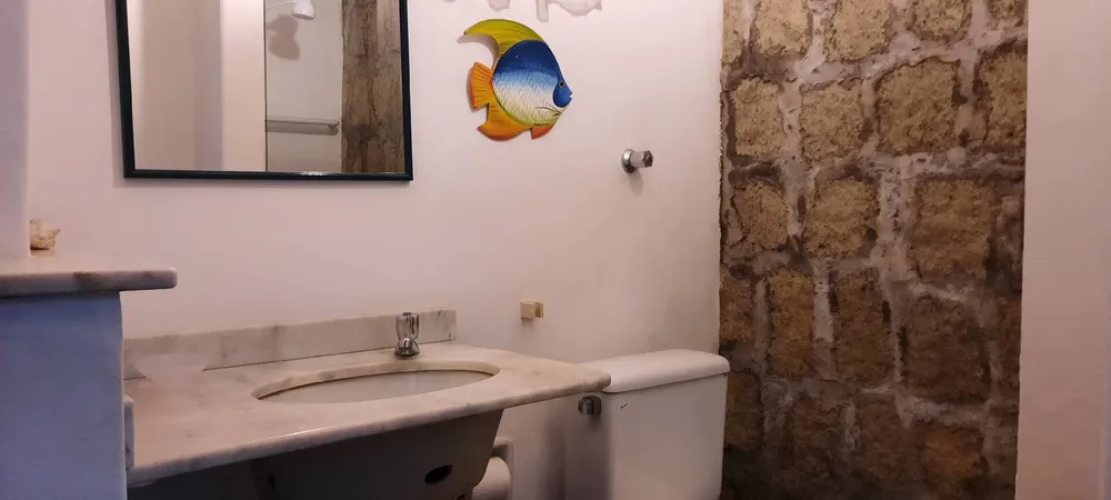 Casa, 6 quartos, 500 m² - Foto 16