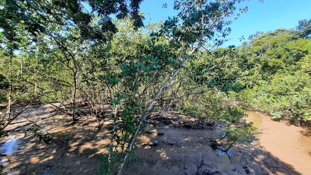 Casa, 4 quartos, 215 m² - Foto 7