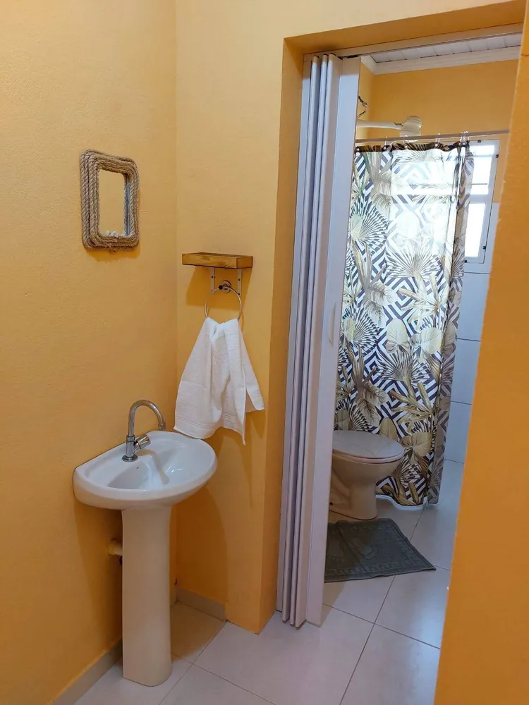 Casa, 4 quartos, 250 m² - Foto 3