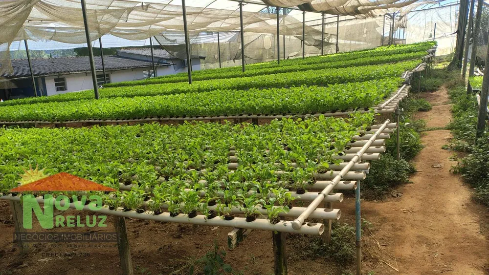 Terreno - Foto 3