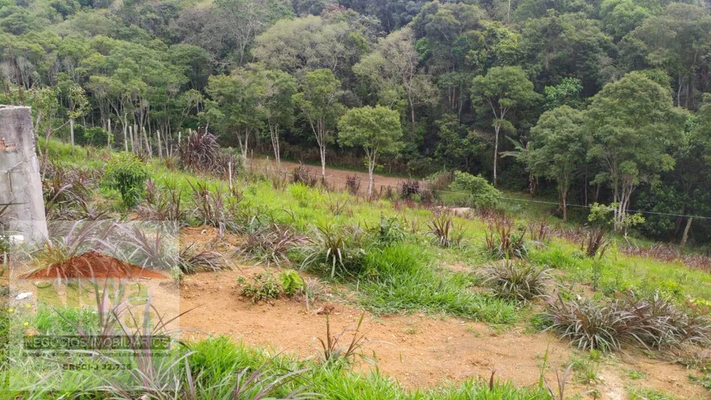 Chácara, 1 quarto, 2500 m² - Foto 6
