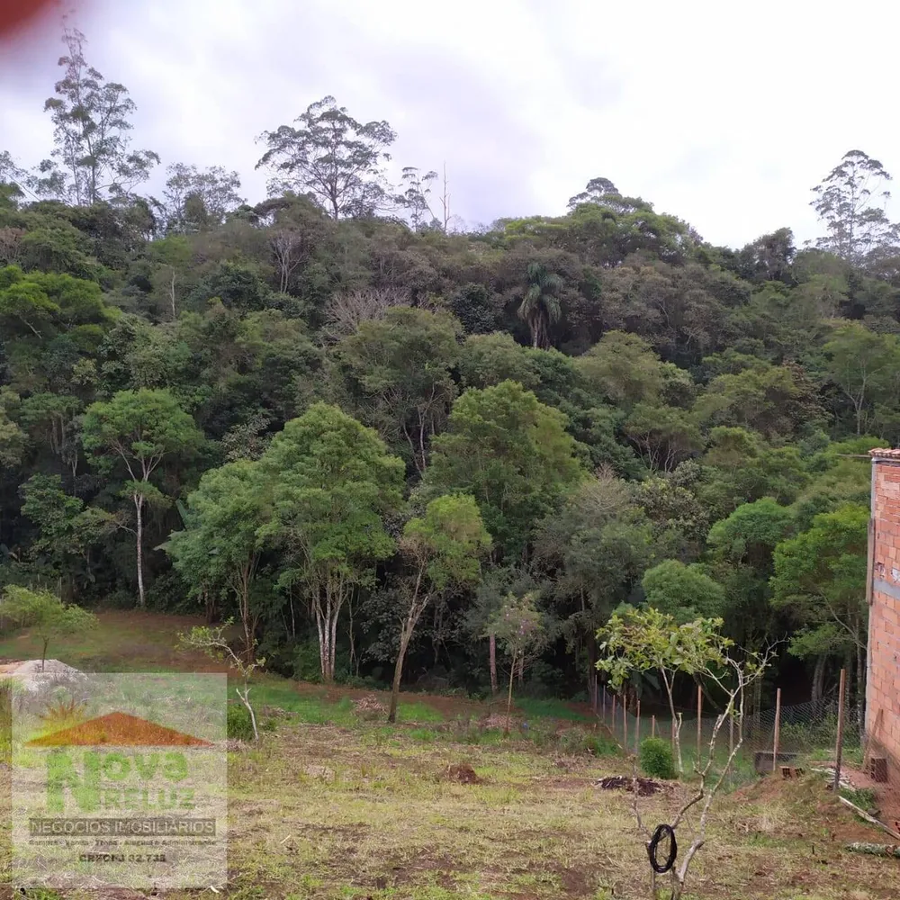 Chácara, 1 quarto, 2500 m² - Foto 7
