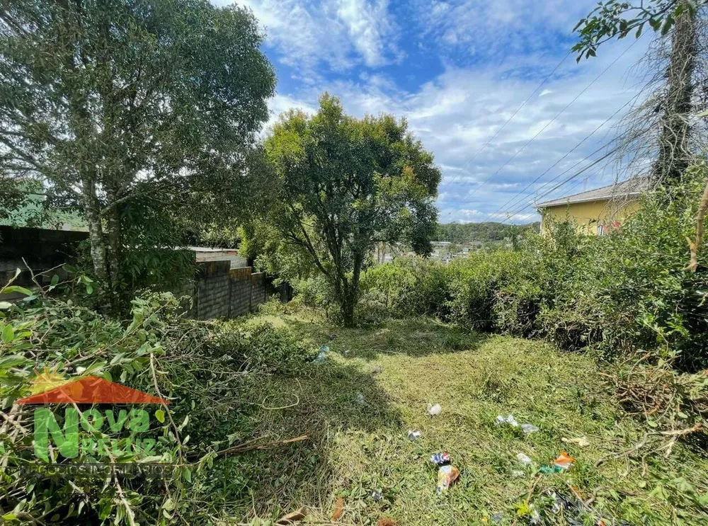Terreno, 300 m² - Foto 4