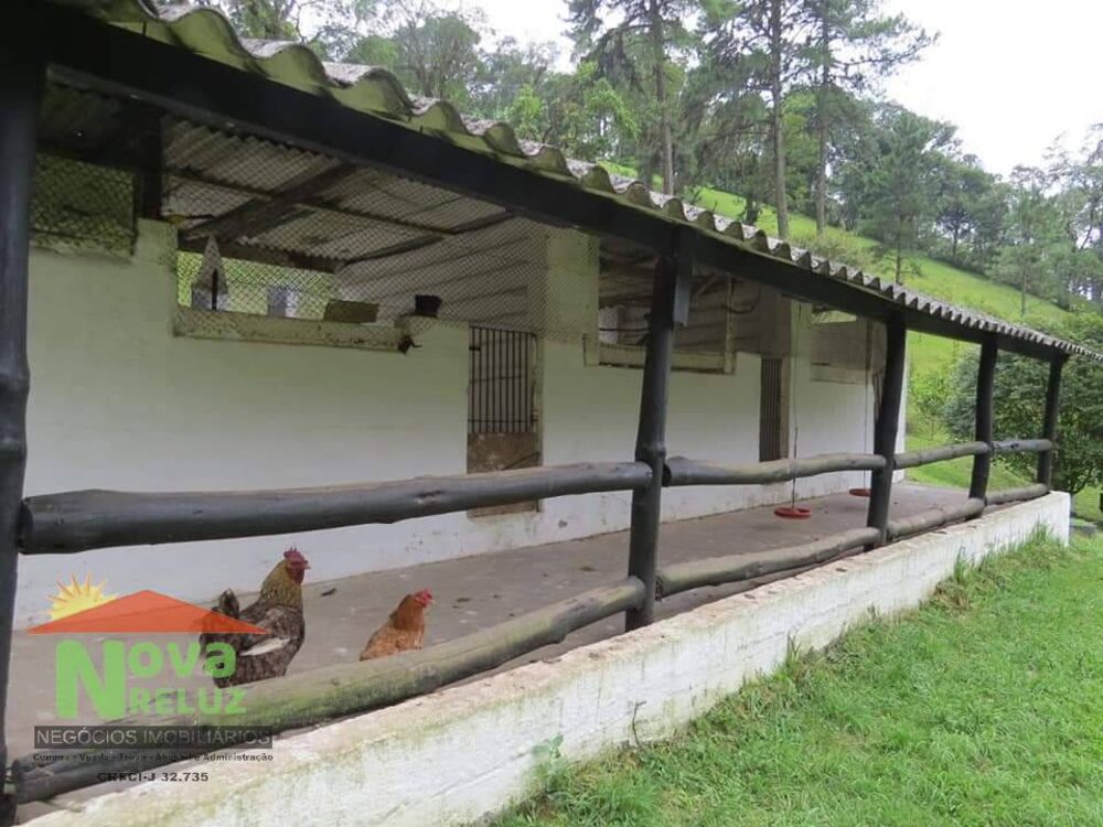 Chácara, 2 quartos, 2 hectares - Foto 4