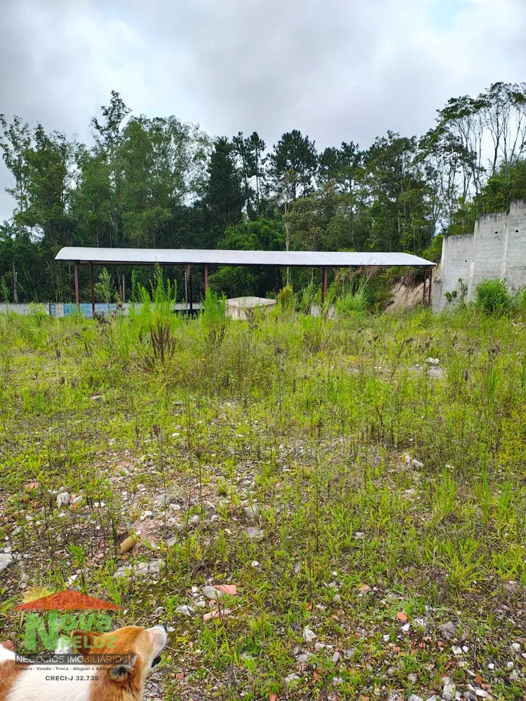 Terreno, 5700 m² - Foto 3