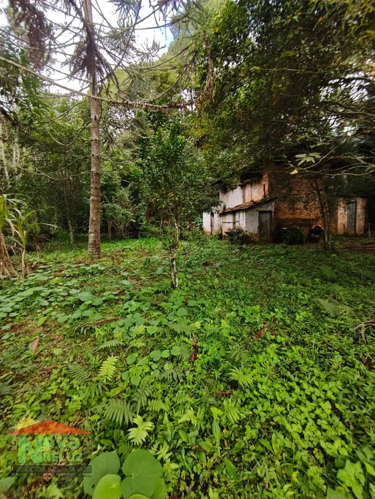 Casa, 4 quartos, 396 m² - Foto 5