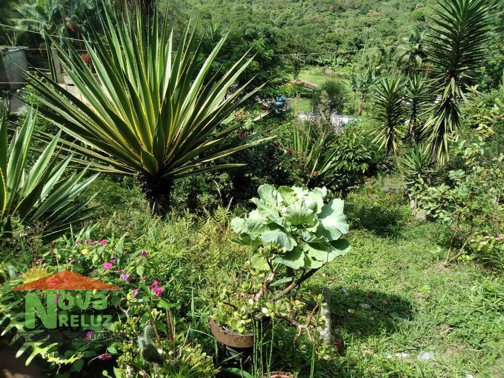 Chácara, 2 quartos, 3800 m² - Foto 5