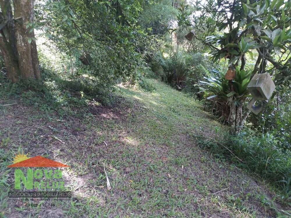 Chácara, 2 quartos, 3800 m² - Foto 4