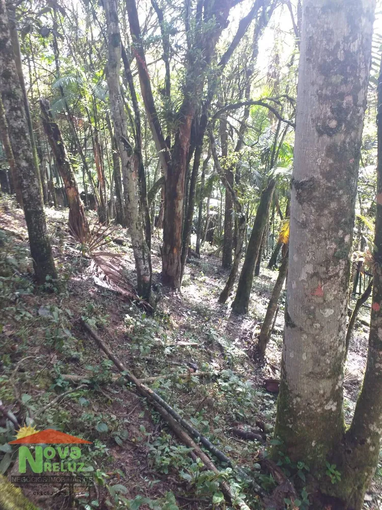 Terreno, 1200 m² - Foto 6