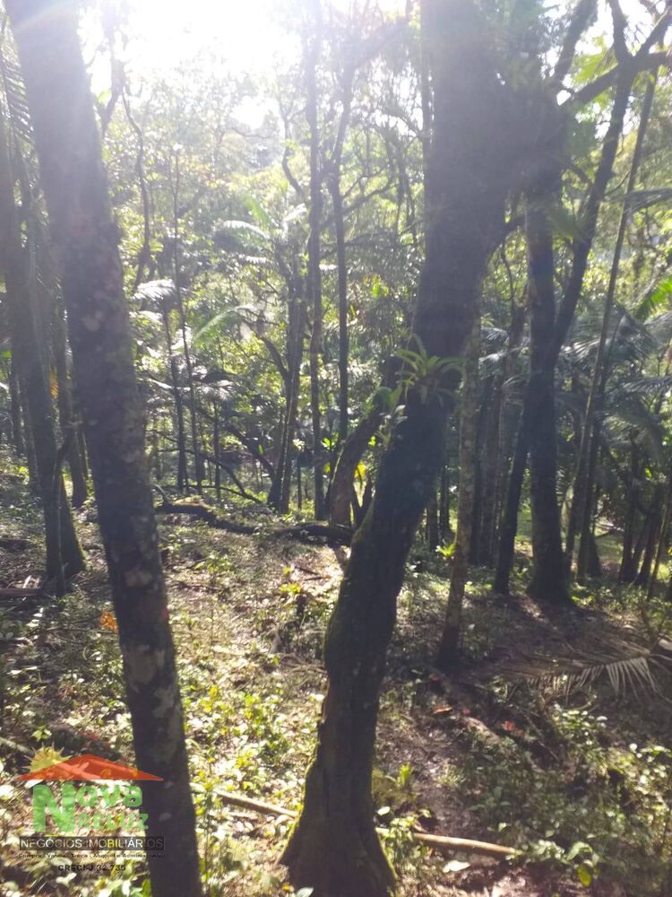 Terreno à venda, 1200m² - Foto 3