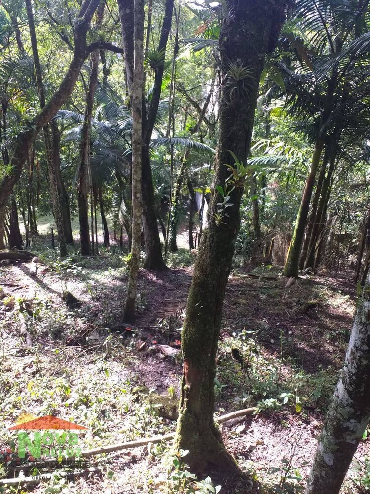 Terreno à venda, 1200m² - Foto 8