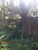 Terreno, 1200 m² - Foto 12