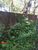Terreno, 1200 m² - Foto 7