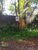 Terreno, 1200 m² - Foto 1