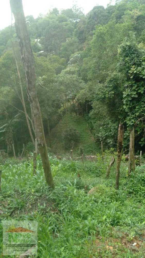 Chácara, 3 quartos, 1300 m² - Foto 9