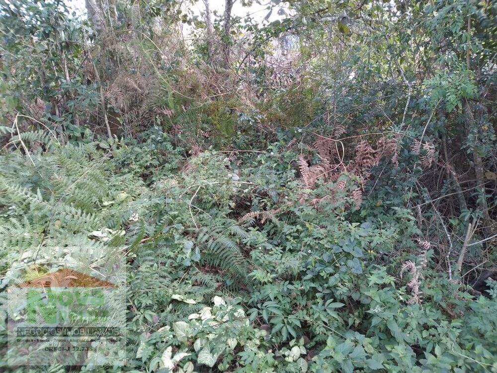 Terreno, 344 m² - Foto 2