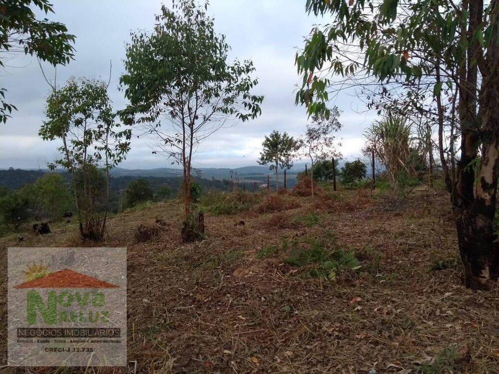 Terreno, 5115 m² - Foto 6