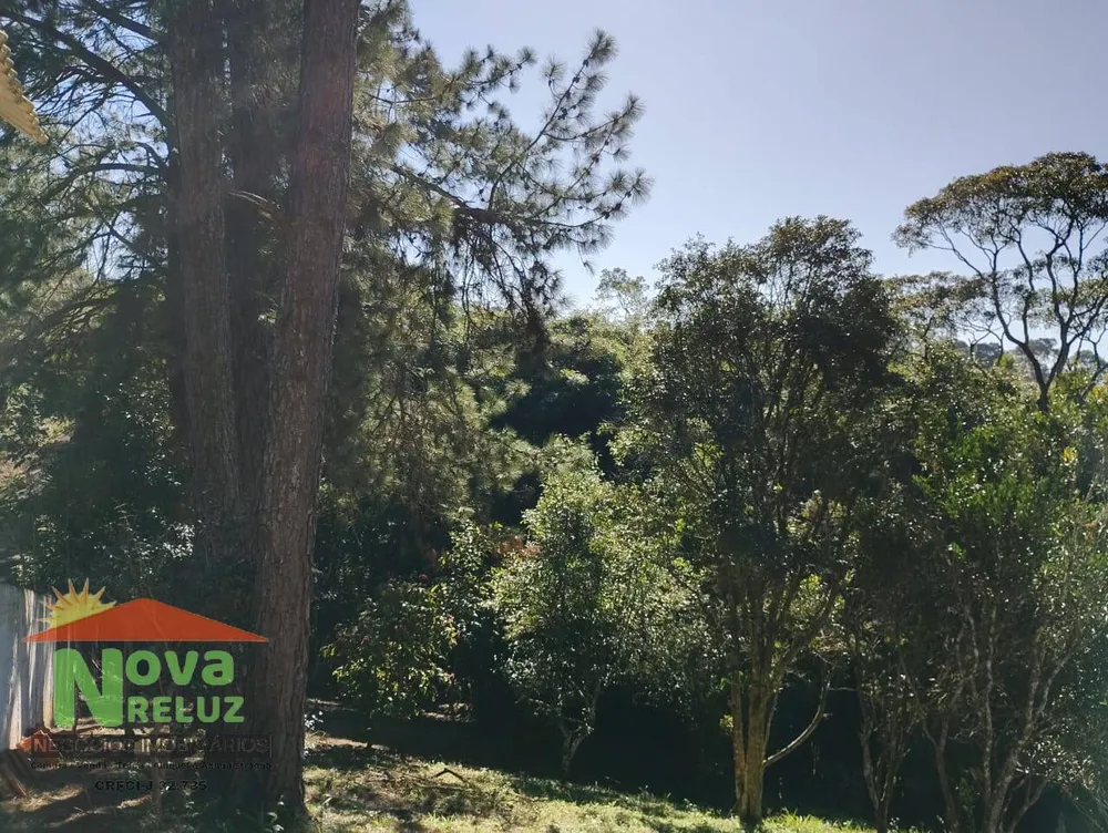 Chácara, 4 quartos, 4720 m² - Foto 7