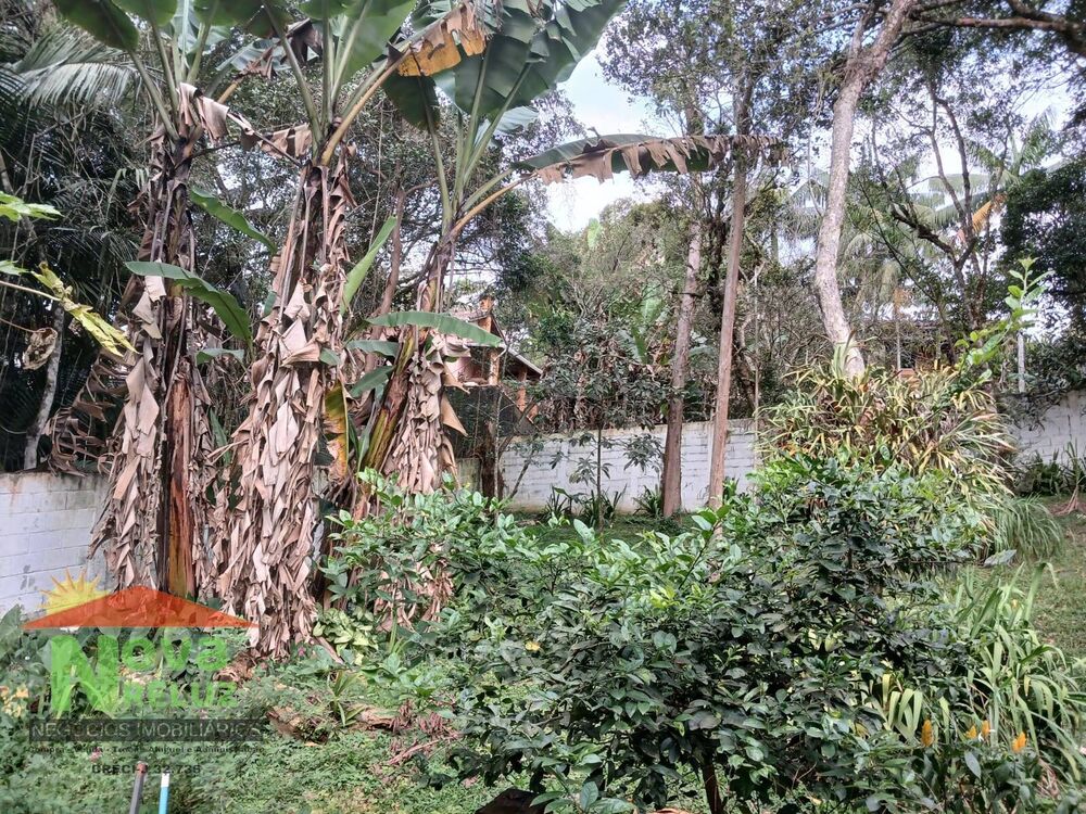 Casa, 4 quartos, 340 m² - Foto 3