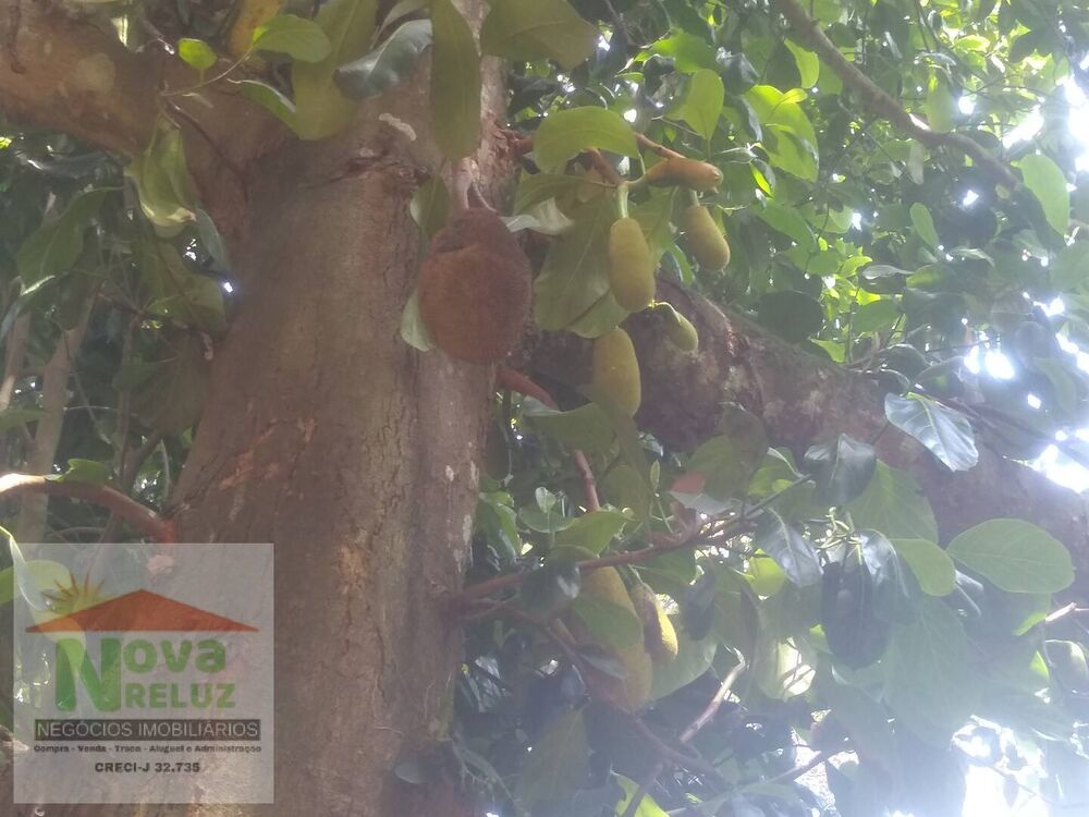 Chácara, 1 quarto, 2274 m² - Foto 10