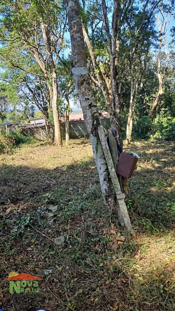 Terreno, 3300 m² - Foto 3
