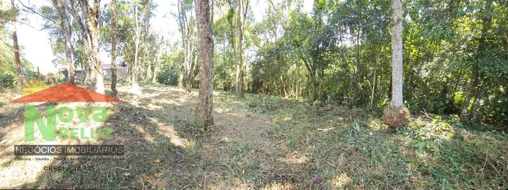 Terreno, 3300 m² - Foto 2