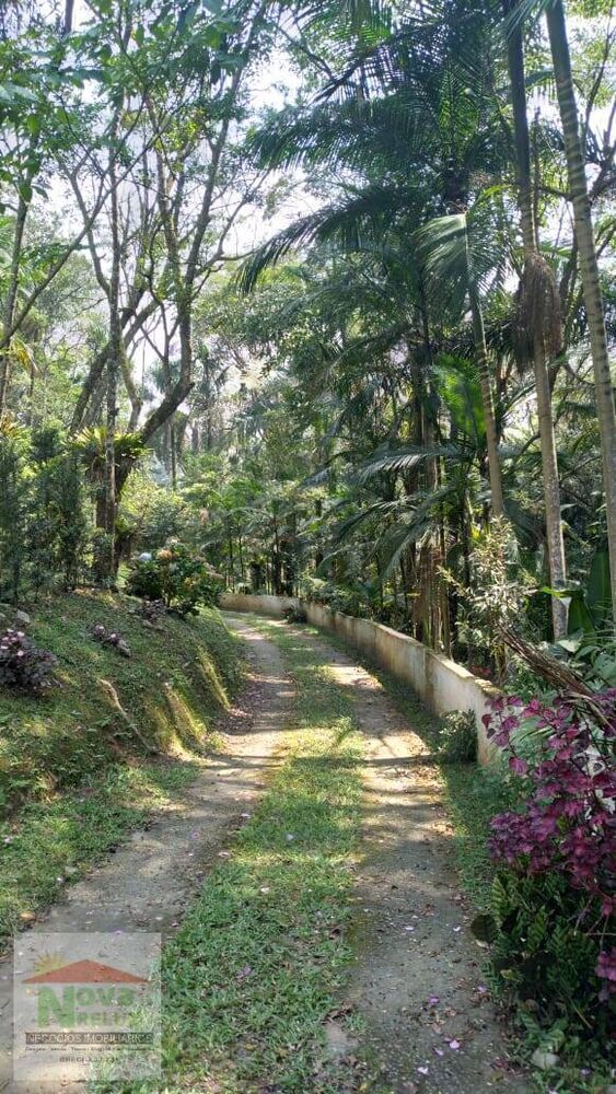 Chácara, 3 quartos, 8000 m² - Foto 9