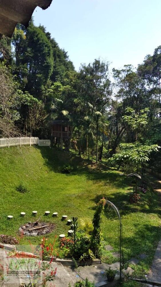 Chácara, 3 quartos, 8000 m² - Foto 8