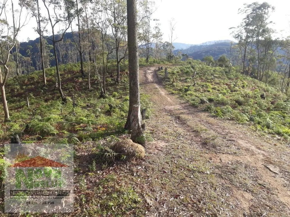 Terreno, 5600 m² - Foto 4